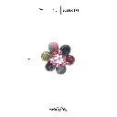 120.webp