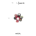 117.webp