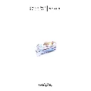 125.webp