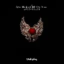 211.webp