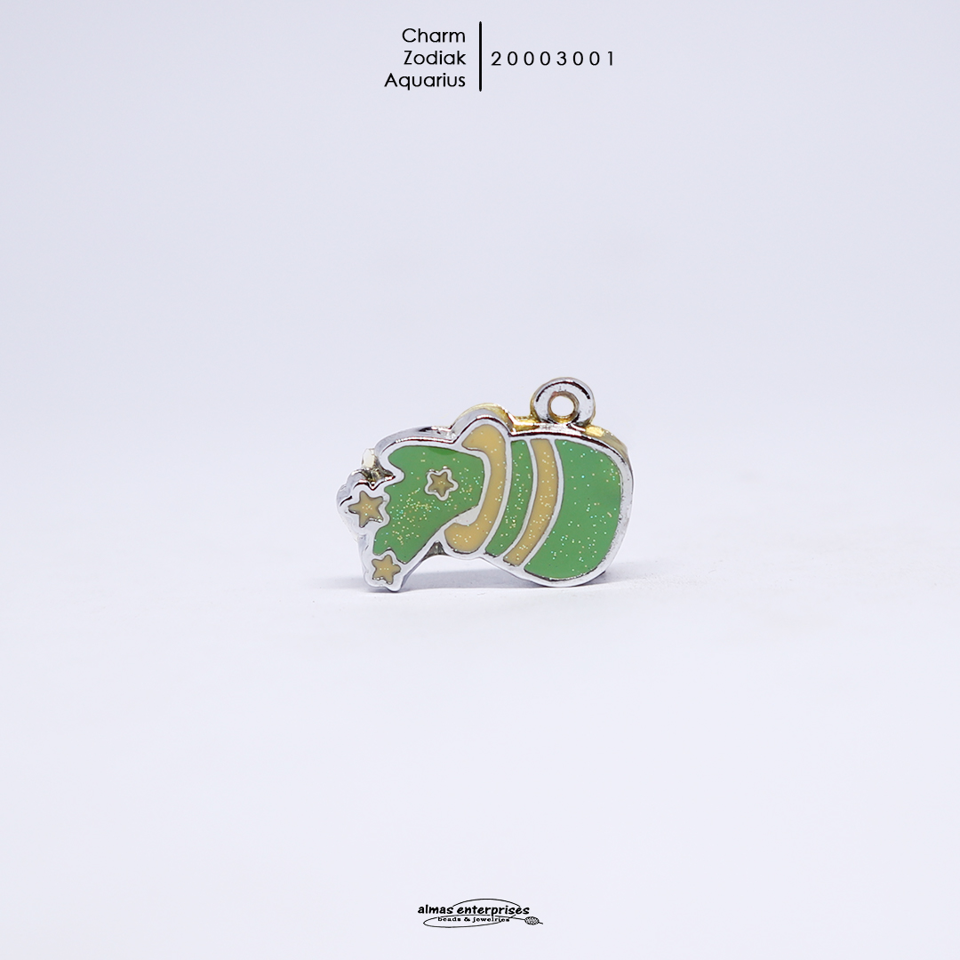 Charm Zodiak Aquarius