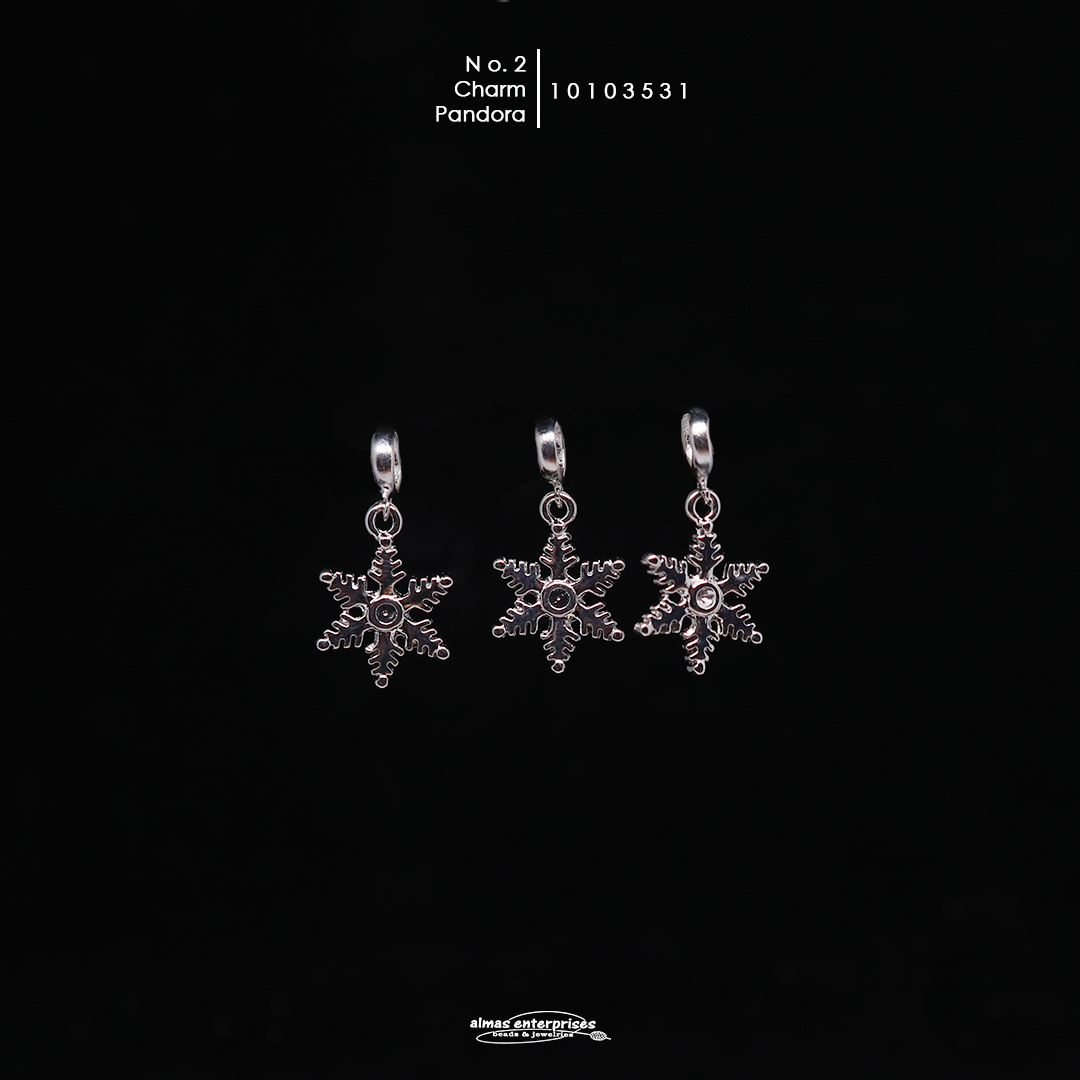 No.2 Charm Pandora/3