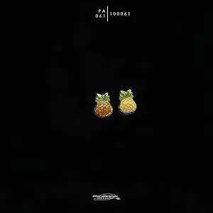 [100061] PA-061