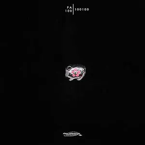 [100100] PA-100
