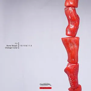 Bone Shape Orange Coral