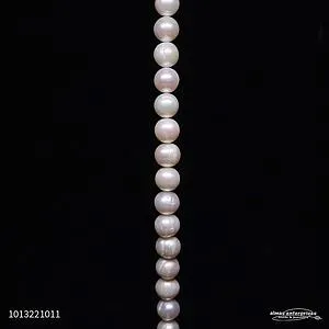 10-11mm B Tomato Fwp