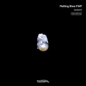 Melting Biwa Fwp