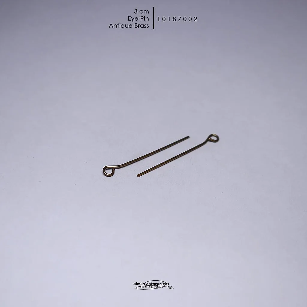 3cm Eye Pin/gross