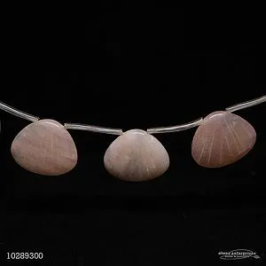 Shell Shaped Sun Stone