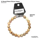H. Round Picture Jasper