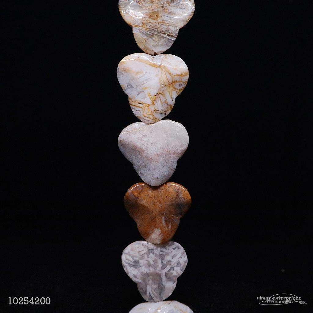 Clove 30 Moroccan Agate