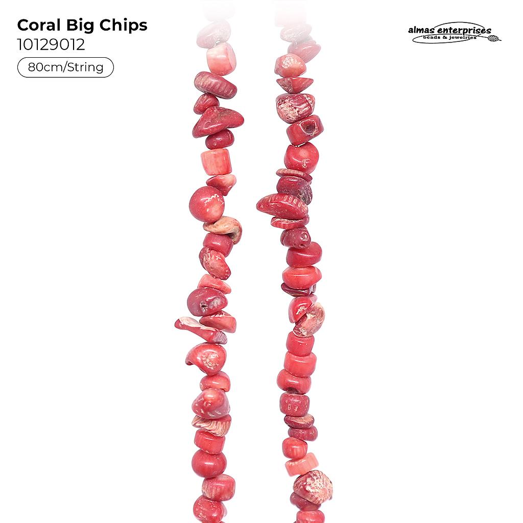 Chips Coral Big