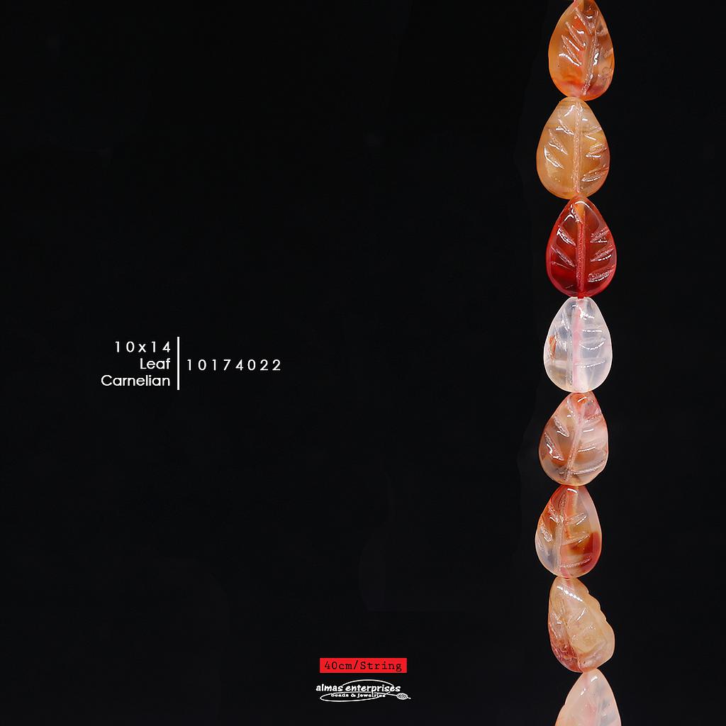 Leaf 10x14 Carnelian
