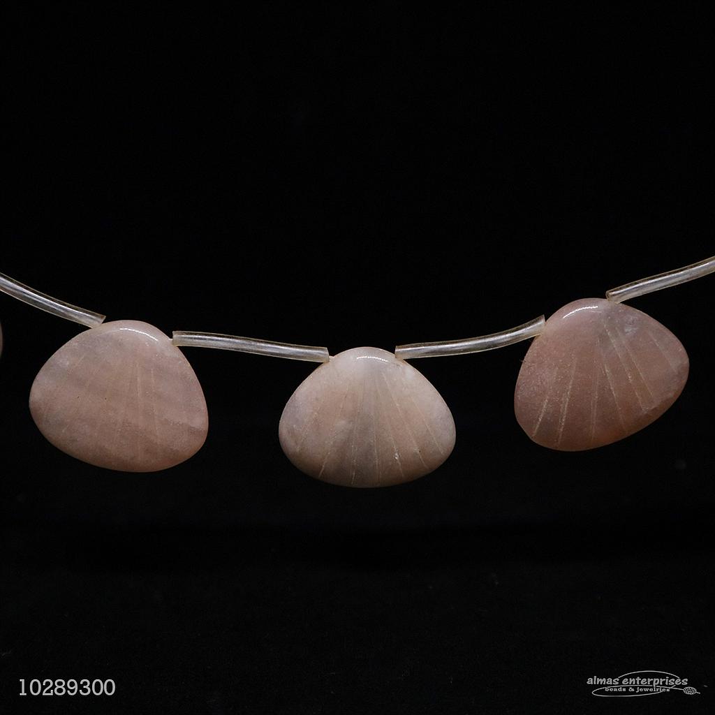 Shell Shaped Sun Stone