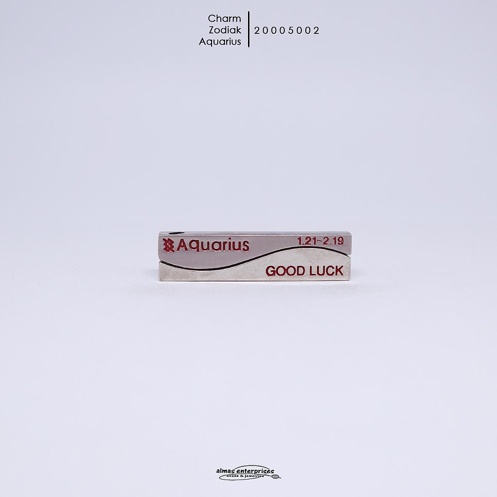 Charm Zodiak Red