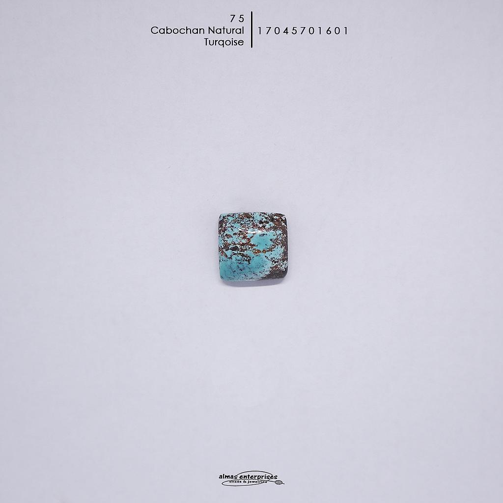 Cabochon Nat Turq