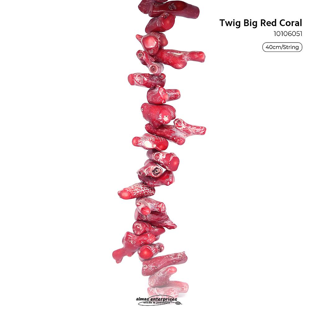 Twig Big Red Coral