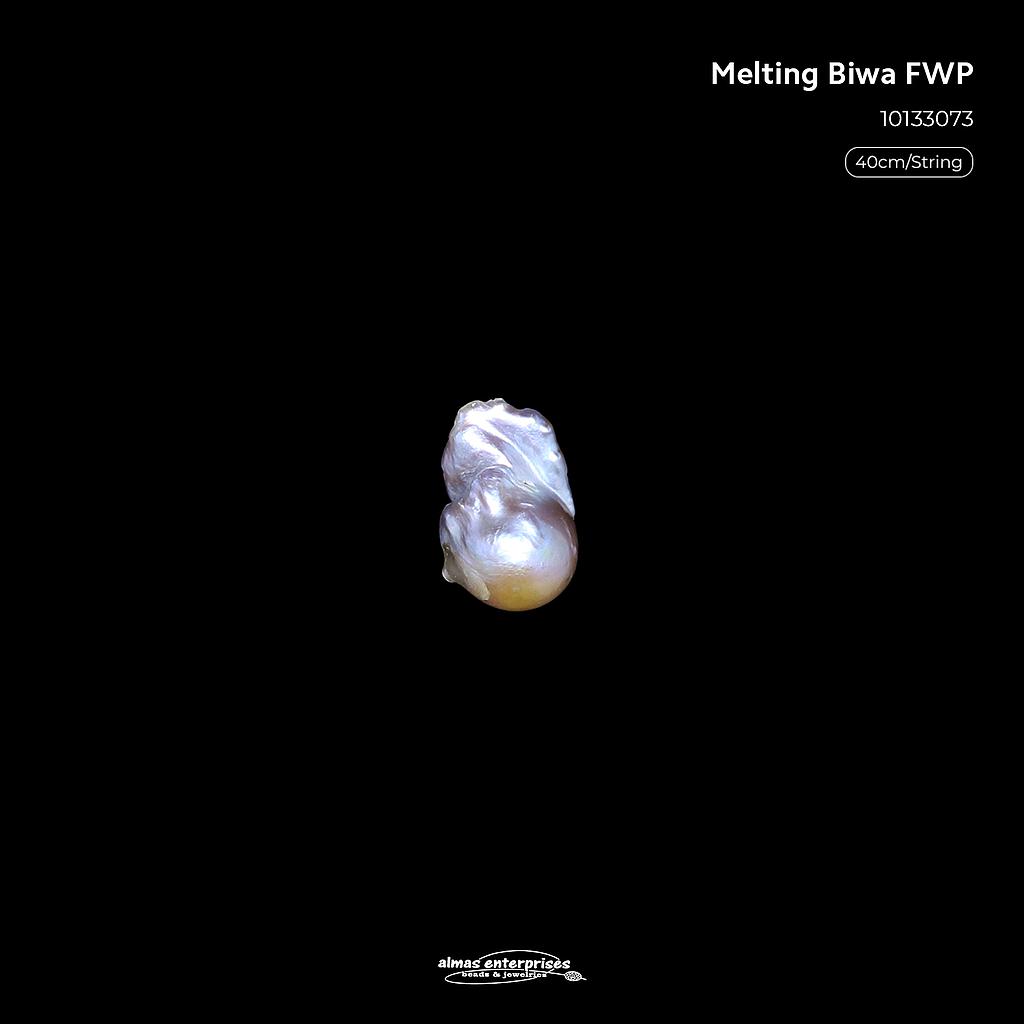 Melting Biwa Fwp