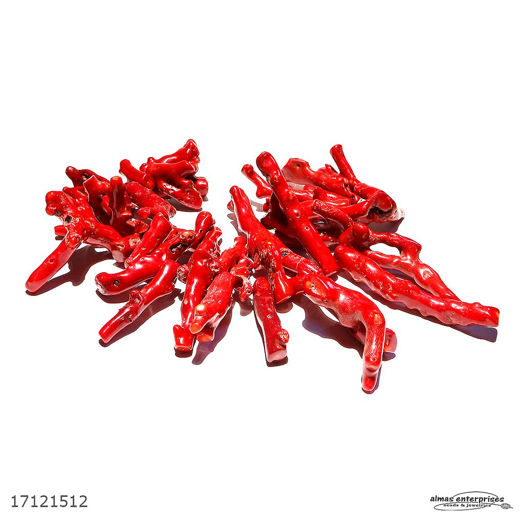 Twig S.Big Red Coral