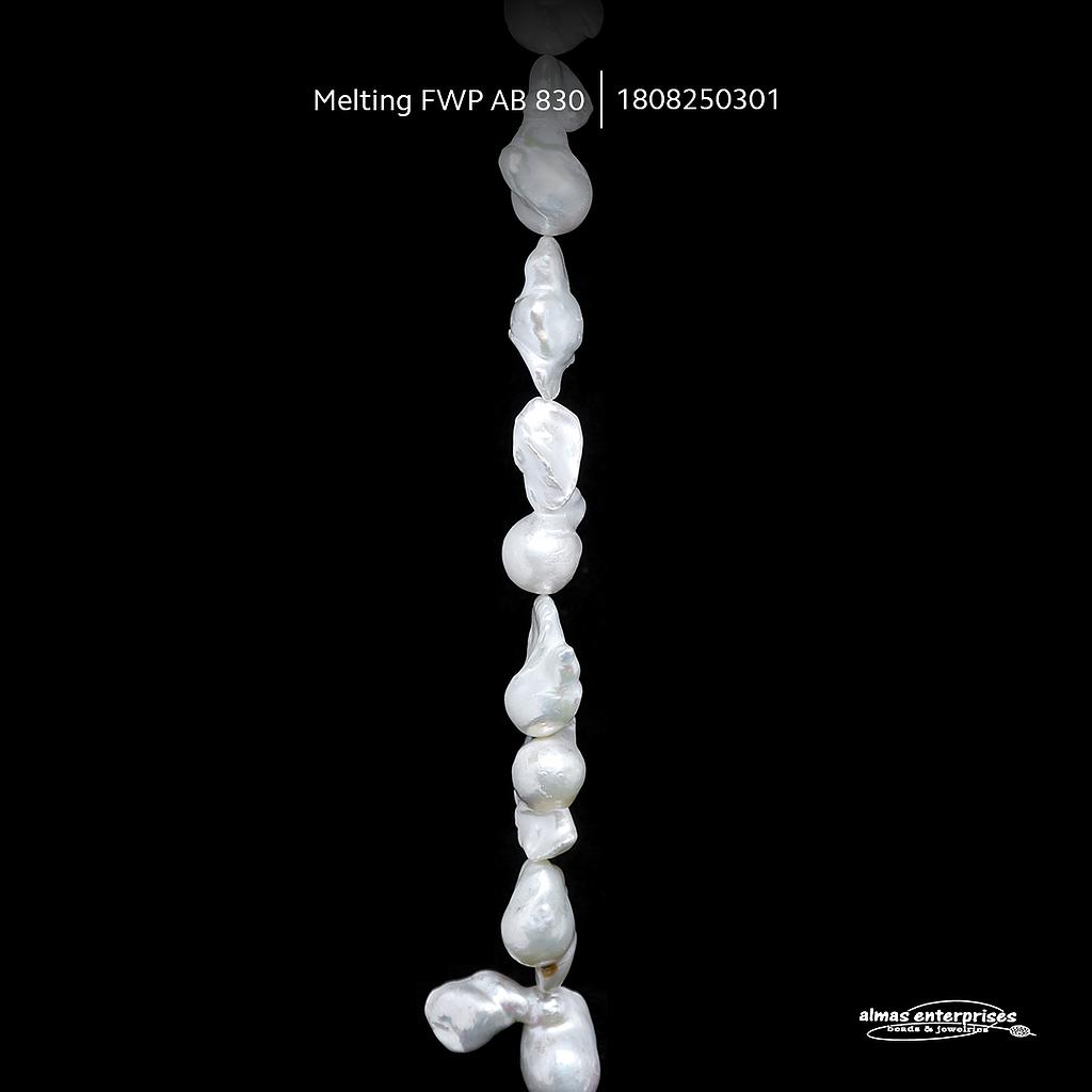 Melting FWP AB 830