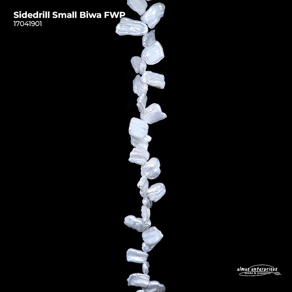 Sidedrill Small Biwa FWP