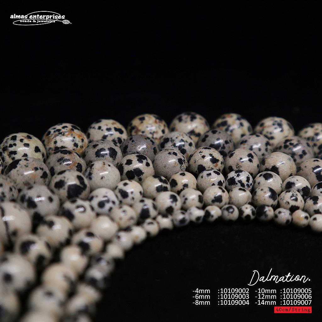 Round Dalmation