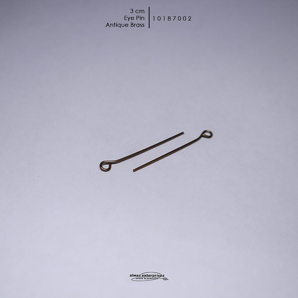 3cm Eye Pin/gross