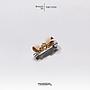 Brooch 30