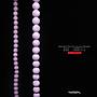 Round Pastel Glass Beads
