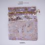 Big 17x23 Pouch Org Motif/dz