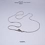 40cm Nickel Chain Necklace