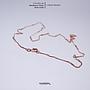 40cm Rose Gold Chain Neck 13
