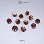 12mm Col Ball/12
