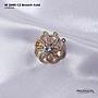 W 2080 CZ Brooch