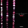 Faceted Round dyed Ruby Agate A