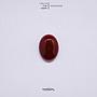 Cab Red Agate