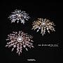  Copper Big Brooch With CZ E