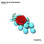 Design Var B Clover  Brooch