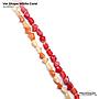 Var Shape White Coral
