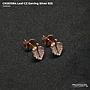CKSE1084 Leaf CZ Earring Silver 925