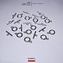 IQ021 Toggle Clasps/12