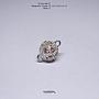 12mm Ball Magnetic Clasps